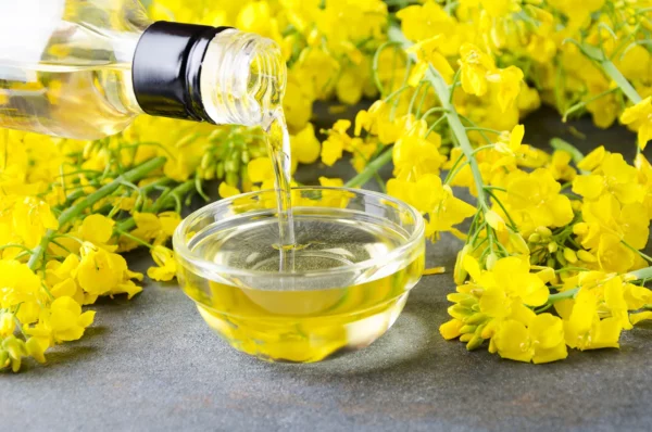 روغن فله کلزا تصفیه شده